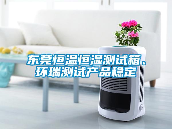 東莞恒溫恒濕測試箱、環瑞測試產品穩定