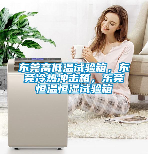 東莞高低溫試驗(yàn)箱，東莞冷熱沖擊箱，東莞恒溫恒濕試驗(yàn)箱
