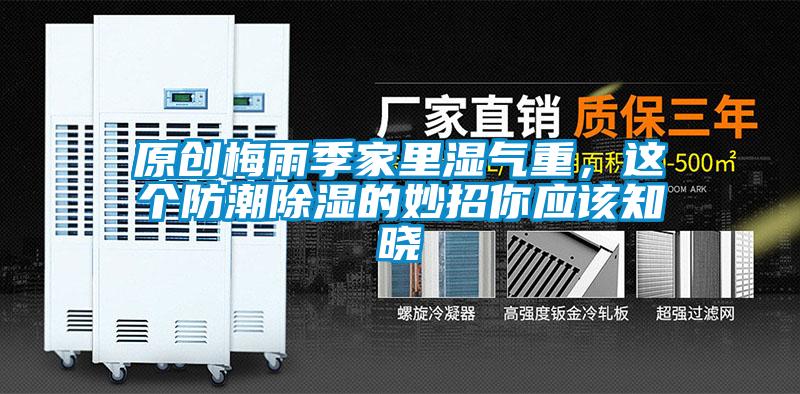 原創梅雨季家里濕氣重，這個防潮除濕的妙招你應該知曉