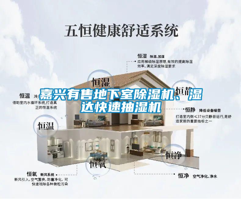 嘉興有售地下室除濕機(jī)、濕達(dá)快速抽濕機(jī)