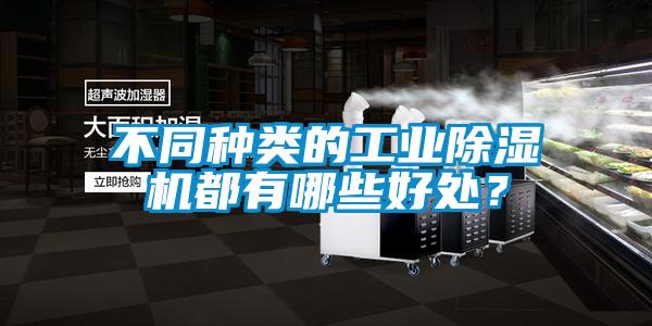 不同種類的工業除濕機都有哪些好處？