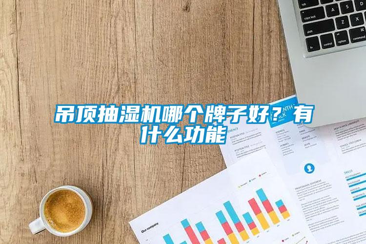 吊頂抽濕機(jī)哪個牌子好？有什么功能