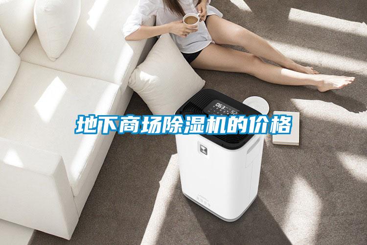 地下商場除濕機(jī)的價格