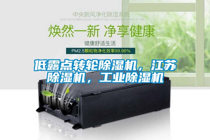 低露點轉輪除濕機，江蘇除濕機，工業除濕機