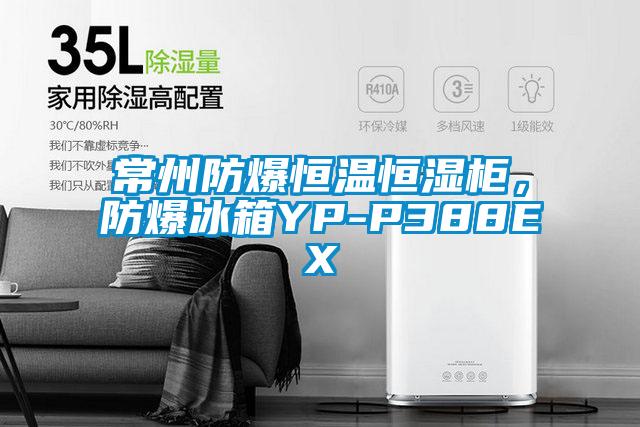 常州防爆恒溫恒濕柜，防爆冰箱YP-P388EX