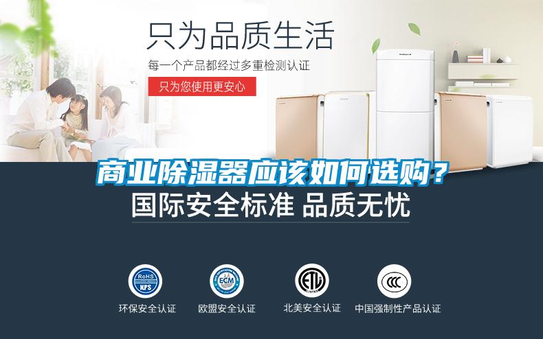 商業除濕器應該如何選購？