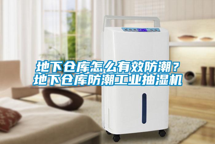地下倉庫怎么有效防潮？地下倉庫防潮工業抽濕機