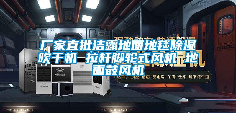 廠(chǎng)家直批潔霸地面地毯除濕吹干機(jī) 拉桿腳輪式風(fēng)機(jī) 地面鼓風(fēng)機(jī)