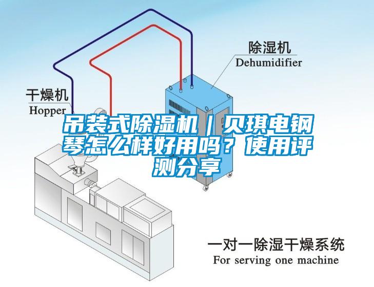 吊裝式除濕機｜貝琪電鋼琴怎么樣好用嗎？使用評測分享