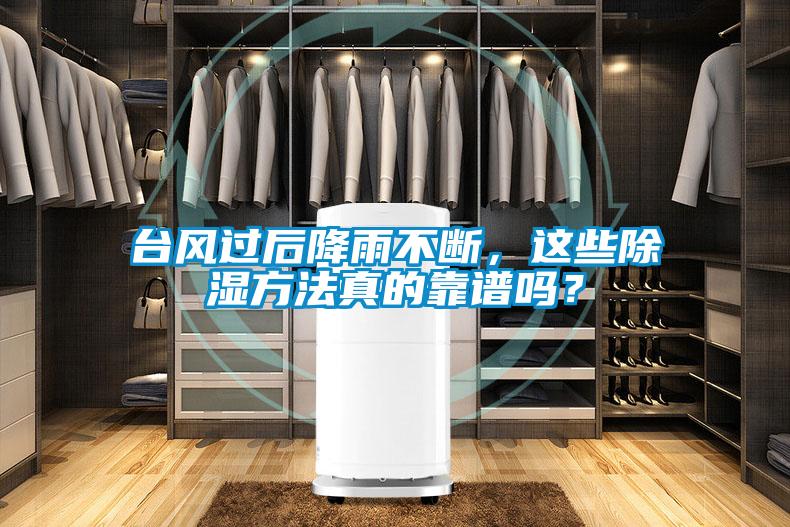 臺(tái)風(fēng)過(guò)后降雨不斷，這些除濕方法真的靠譜嗎？