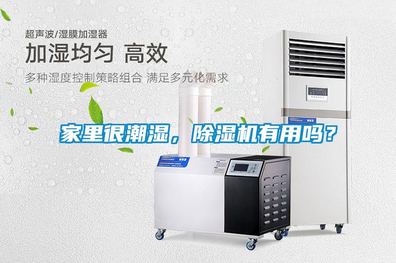 家里很潮濕，除濕機(jī)有用嗎？
