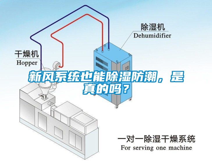新風系統也能除濕防潮，是真的嗎？