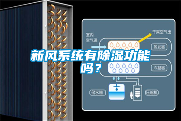 新風系統有除濕功能嗎？