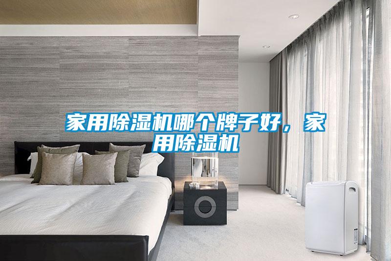 家用除濕機哪個牌子好，家用除濕機