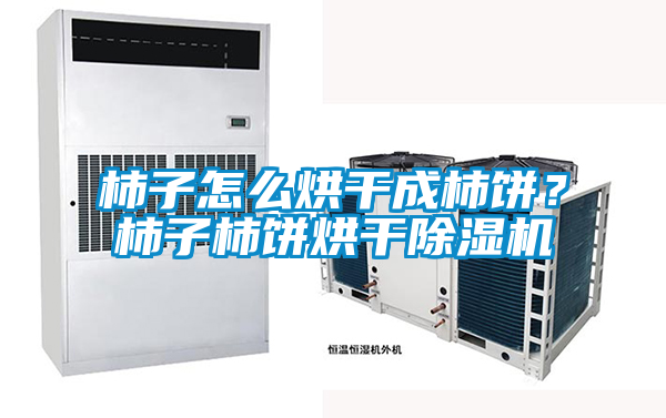 柿子怎么烘干成柿餅？柿子柿餅烘干除濕機
