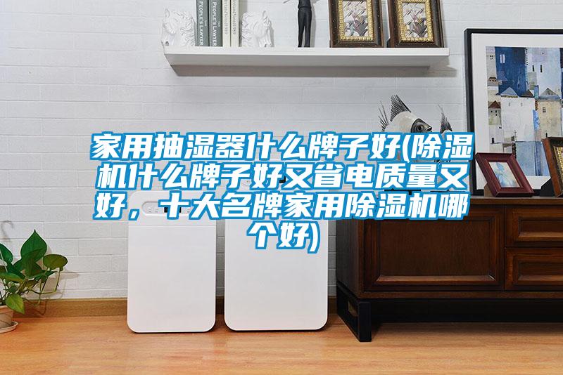 家用抽濕器什么牌子好(除濕機(jī)什么牌子好又省電質(zhì)量又好，十大名牌家用除濕機(jī)哪個(gè)好)