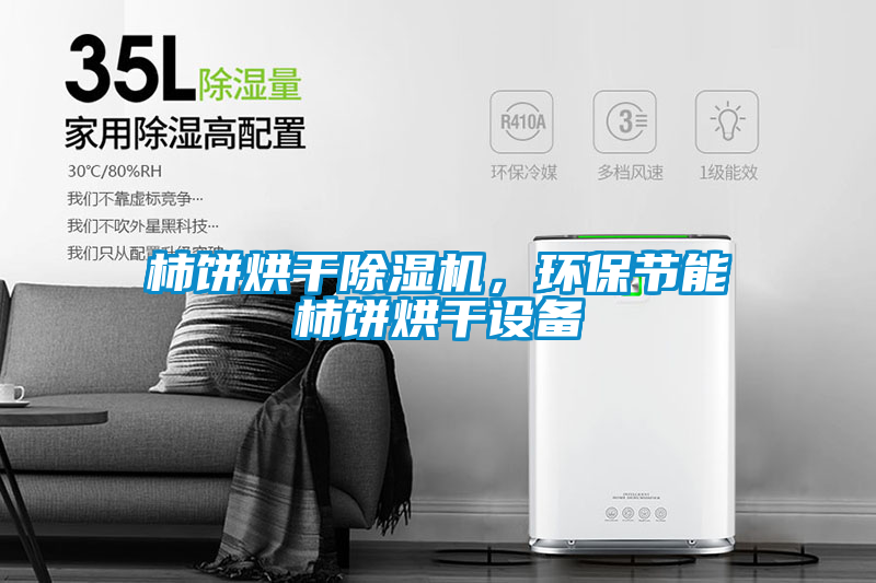 柿餅烘干除濕機，環保節能柿餅烘干設備