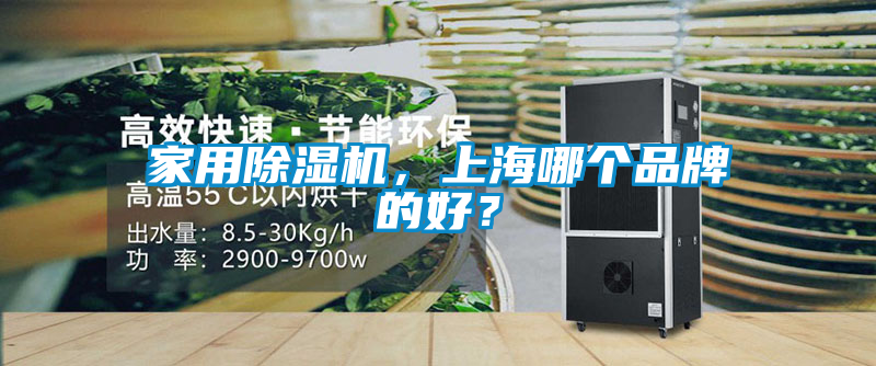 家用除濕機，上海哪個品牌的好？