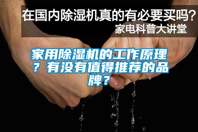 家用除濕機的工作原理？有沒有值得推薦的品牌？