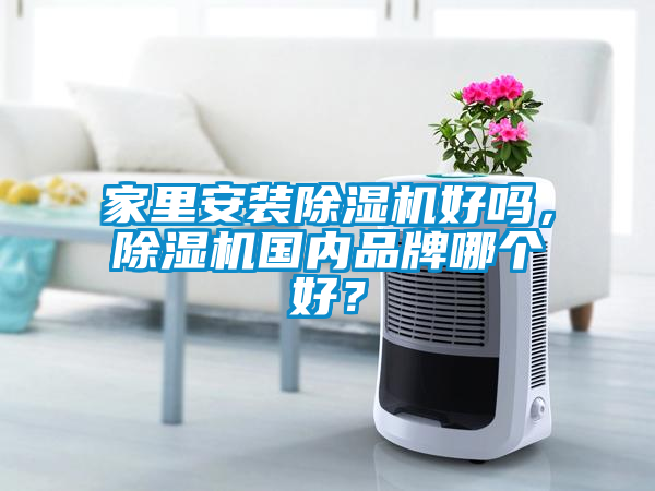 家里安裝除濕機好嗎，除濕機國內品牌哪個好？