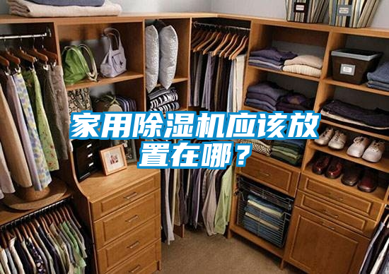 家用除濕機應該放置在哪？