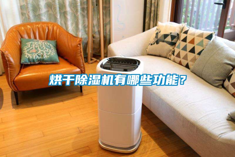 烘干除濕機有哪些功能？