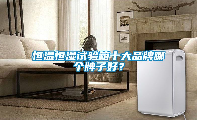恒溫恒濕試驗箱十大品牌哪個牌子好？