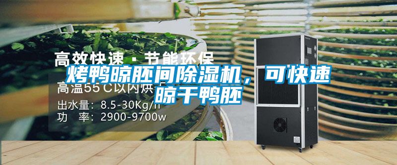 烤鴨晾胚間除濕機，可快速晾干鴨胚