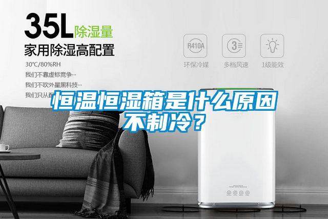 恒溫恒濕箱是什么原因不制冷？