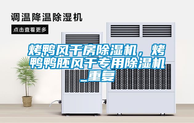 烤鴨風(fēng)干房除濕機(jī)，烤鴨鴨胚風(fēng)干專用除濕機(jī)_重復(fù)