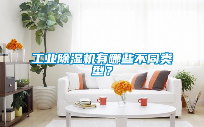 工業除濕機有哪些不同類型？