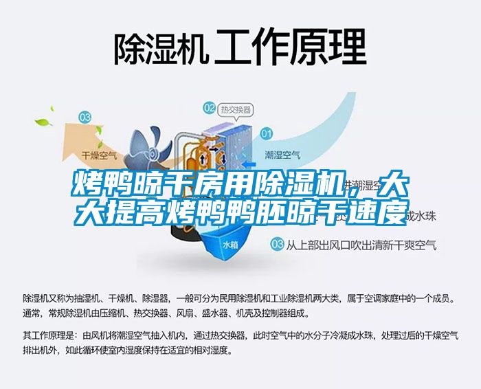 烤鴨晾干房用除濕機(jī)，大大提高烤鴨鴨胚晾干速度
