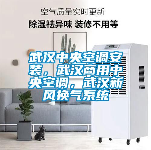 武漢中央空調安裝，武漢商用中央空調，武漢新風換氣系統(tǒng)