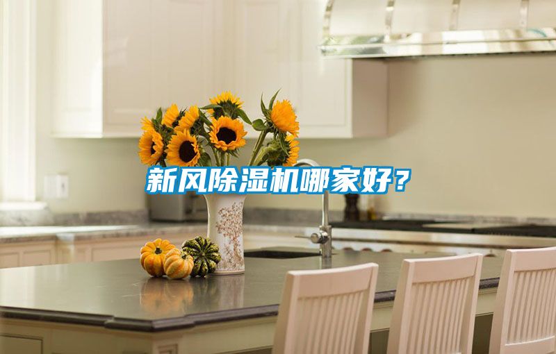新風除濕機哪家好？