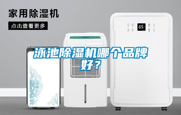 泳池除濕機哪個品牌好？
