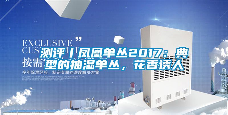 測評丨鳳凰單叢2017：典型的抽濕單叢，花香誘人