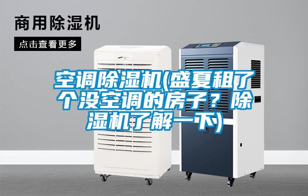 空調(diào)除濕機(盛夏租了個沒空調(diào)的房子？除濕機了解一下)