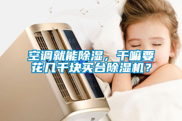 空調(diào)就能除濕，干嘛要花幾千塊買臺(tái)除濕機(jī)？