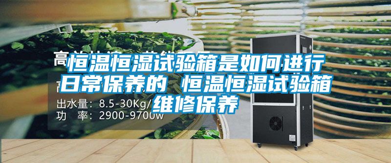 恒溫恒濕試驗箱是如何進(jìn)行日常保養(yǎng)的 恒溫恒濕試驗箱維修保養(yǎng)