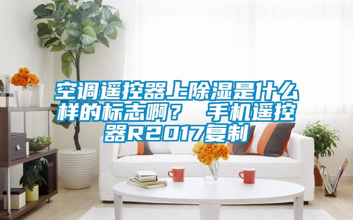 空調(diào)遙控器上除濕是什么樣的標志啊？ 手機遙控器R2017復制