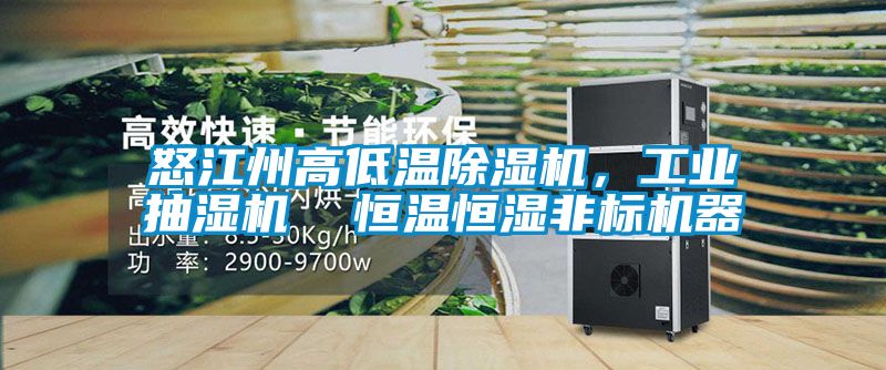 怒江州高低溫除濕機(jī)，工業(yè)抽濕機(jī)  恒溫恒濕非標(biāo)機(jī)器