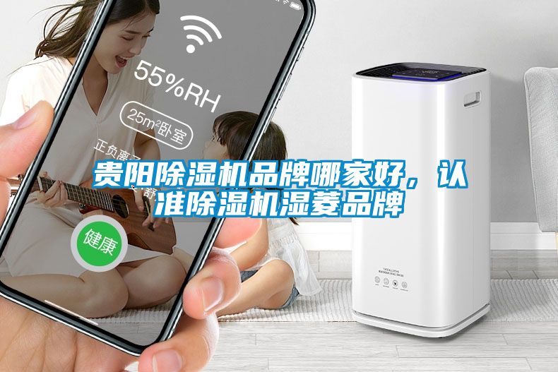 貴陽除濕機品牌哪家好，認準除濕機濕菱品牌