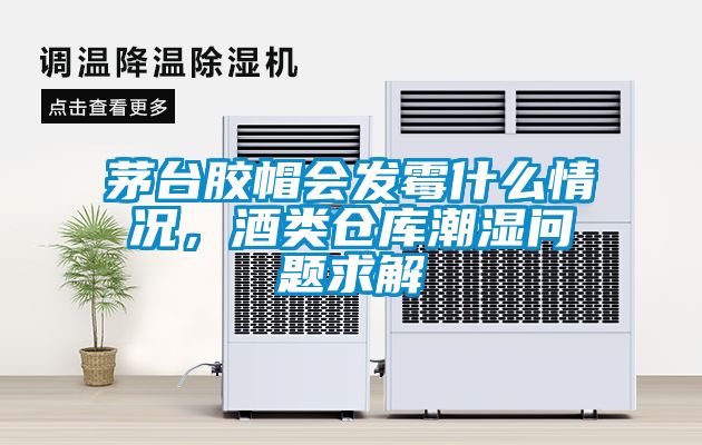 茅臺(tái)膠帽會(huì)發(fā)霉什么情況，酒類倉(cāng)庫(kù)潮濕問(wèn)題求解