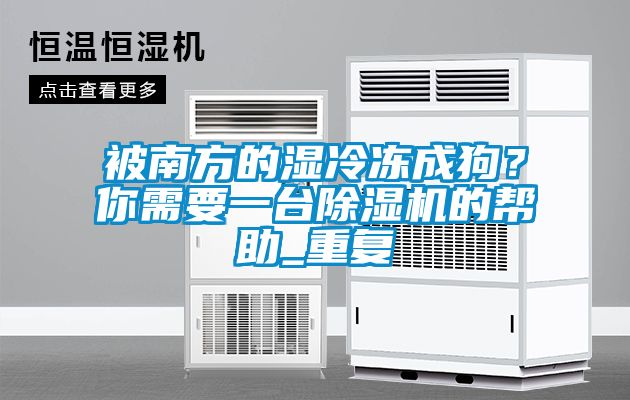 被南方的濕冷凍成狗？你需要一臺除濕機的幫助_重復