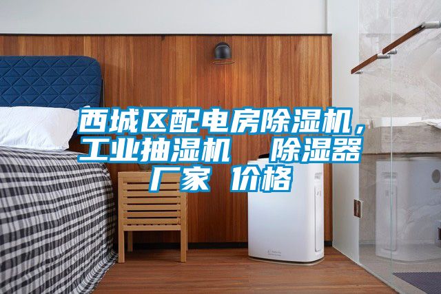 西城區(qū)配電房除濕機，工業(yè)抽濕機  除濕器廠家 價格