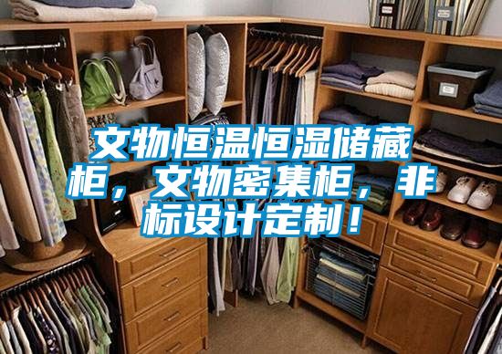 文物恒溫恒濕儲藏柜，文物密集柜，非標設計定制！