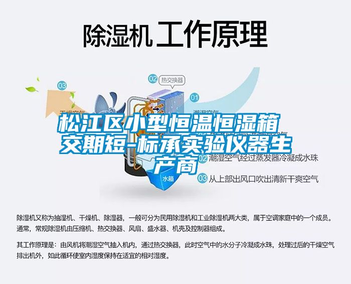松江區(qū)小型恒溫恒濕箱 交期短-標(biāo)承實(shí)驗儀器生產(chǎn)商