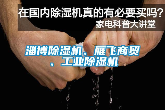 淄博除濕機(jī)、雁飛商貿(mào)、工業(yè)除濕機(jī)