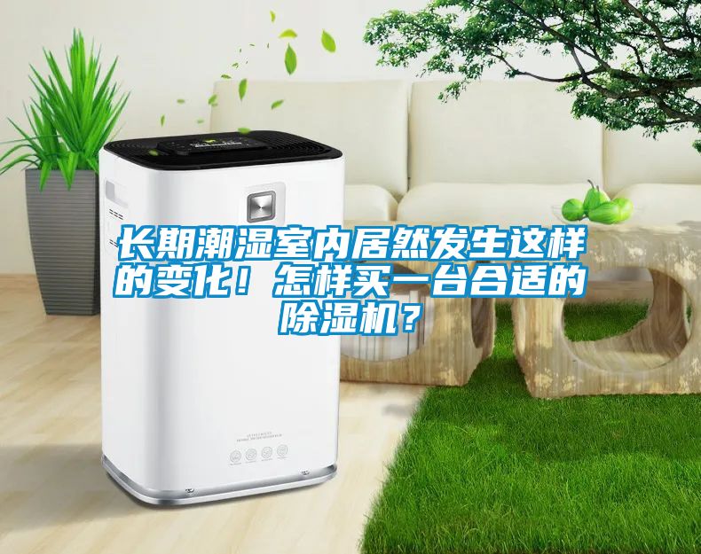 長期潮濕室內(nèi)居然發(fā)生這樣的變化！怎樣買一臺合適的除濕機(jī)？