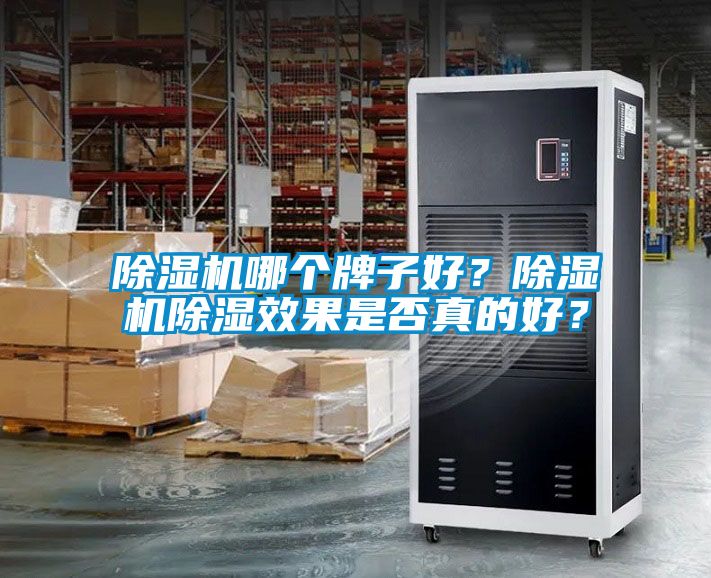 除濕機哪個牌子好？除濕機除濕效果是否真的好？